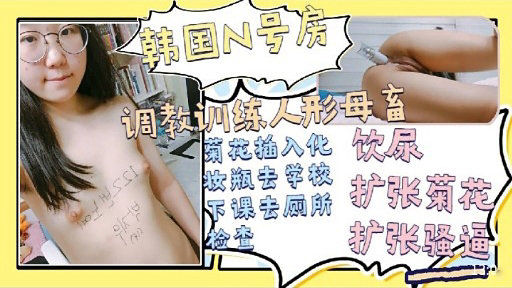 韩国N号房调教训练人形母畜